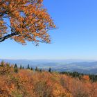 über die "ganze welt" blicken