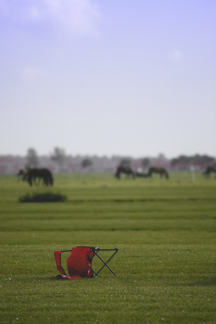 Über die Gefahren des wilden Campens