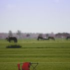 Über die Gefahren des wilden Campens