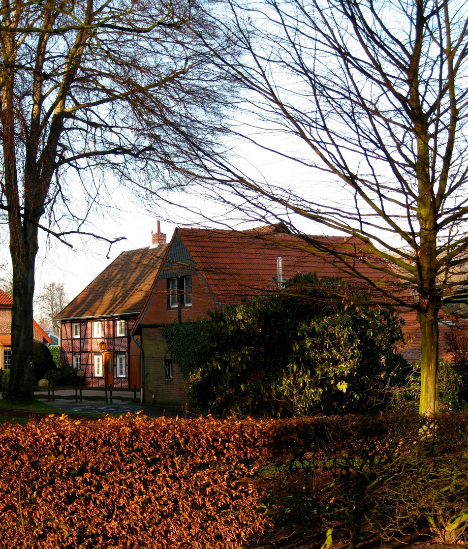 Über die Hecke geschaut