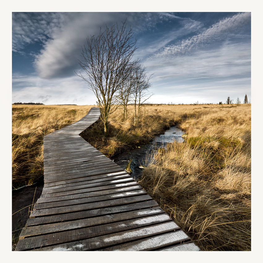 Über die Hill Foto & Bild landschaft, moor, hohes venn Bilder auf