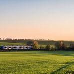   Über die Hochebene von Rheinhessen in die Nordpfalz