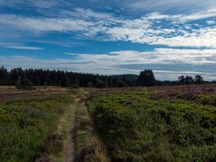 Über die Hochheide