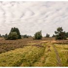 Über die Hochheide