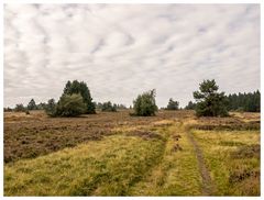 Über die Hochheide