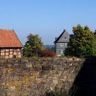 über die Mauer geschaut