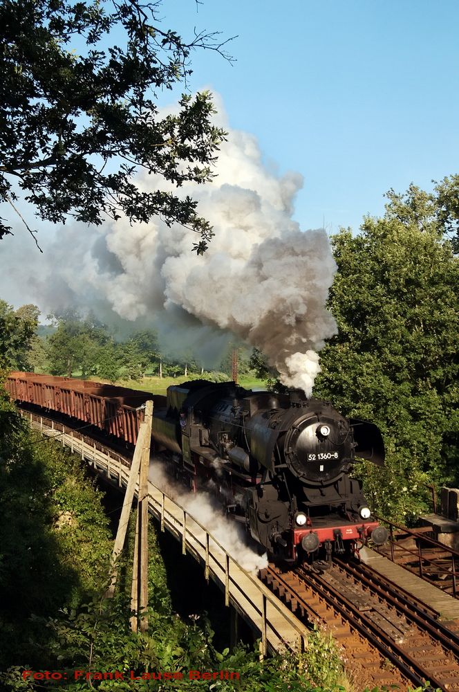 Über die Mulde 1....