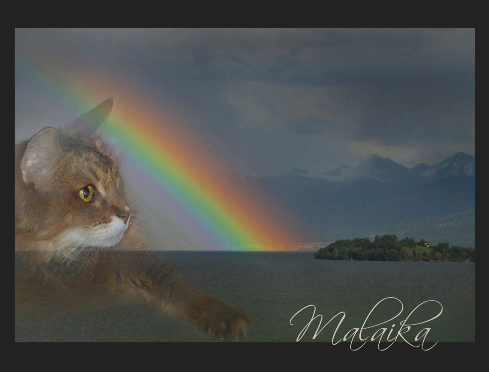 Ueber die Regenbogen-Brücke