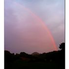 Über die Schwierigkeit einen Regenbogen zu fotografieren