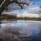 über die Ufer getreten - Leine in Hannover-Marienwerder