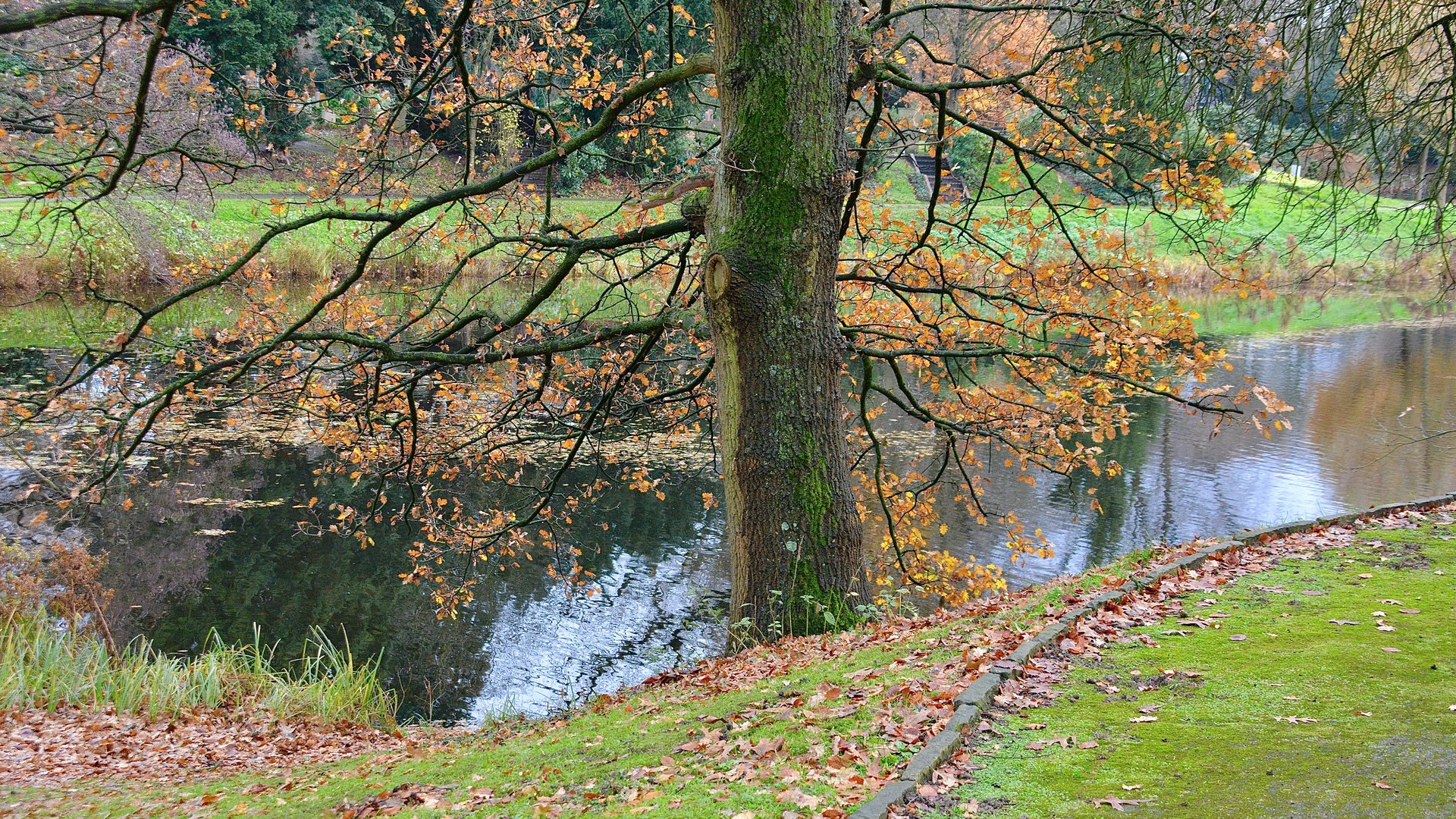 Über die Wirkung von Licht Foto & Bild  wasser, natur, herbst Bilder