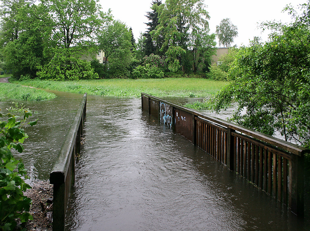 Über diese Brücke ...#2