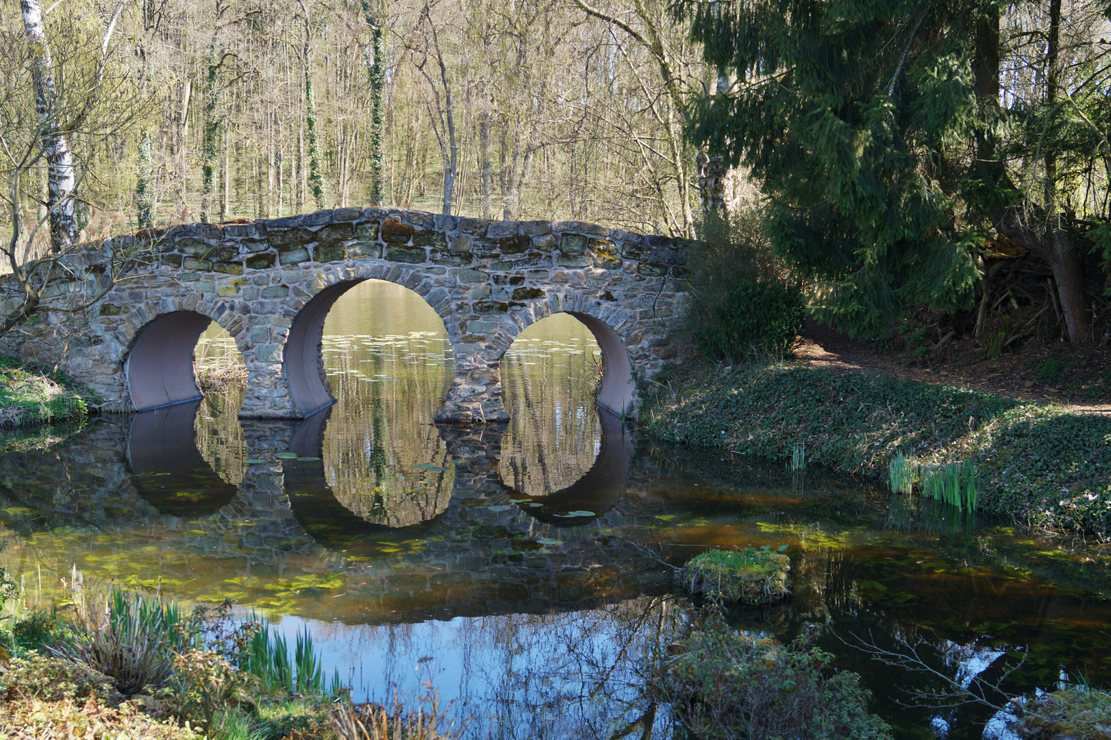 über diese Brücke .... in Dennenlohe