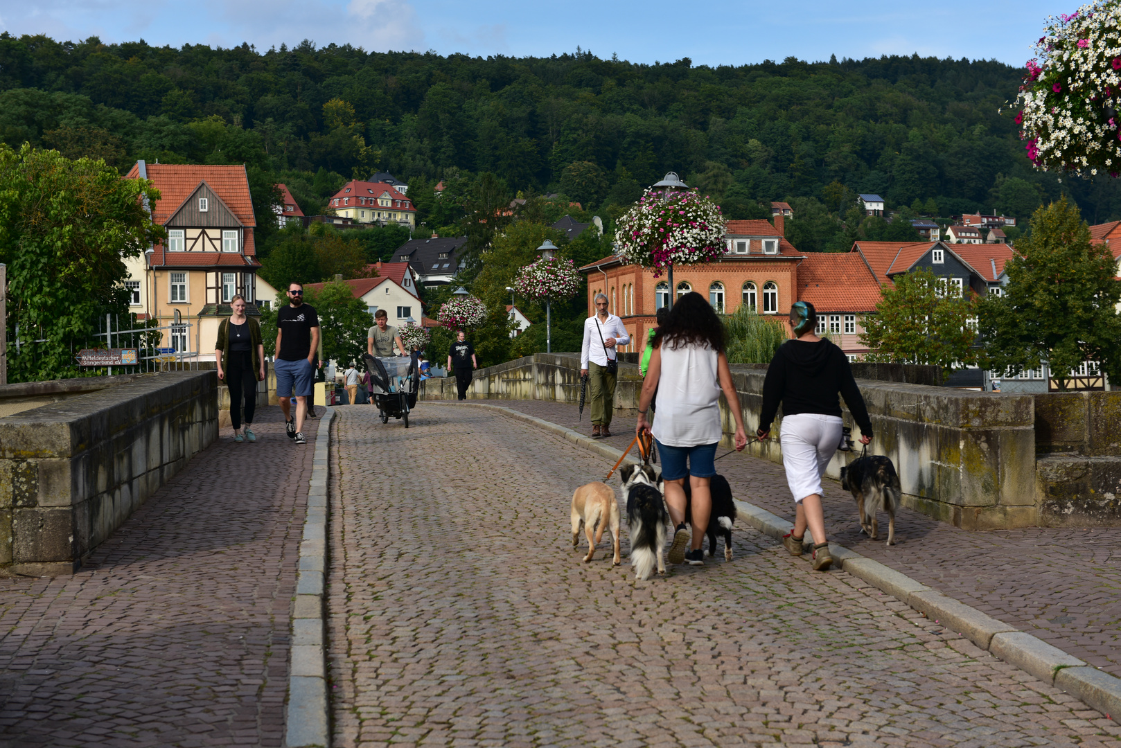 Über diese Brücke muss ich .............DSC_3284