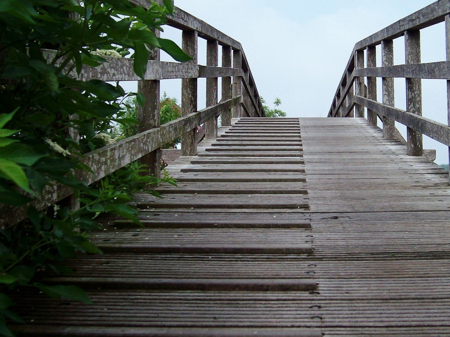 Über diese Brücke musst du gehen 2