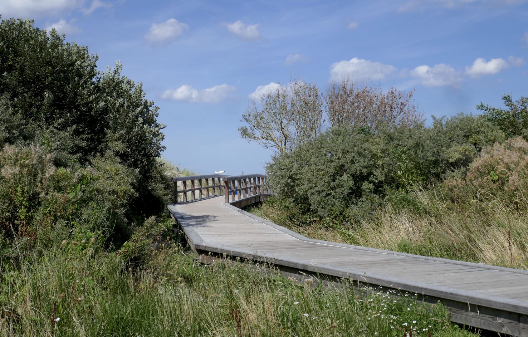 Über diese Brücke mußt du gehen…