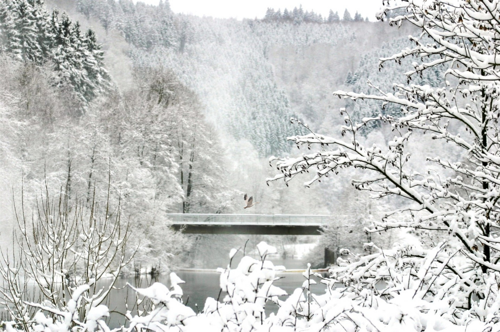 Über diese Brücke musst du gehen