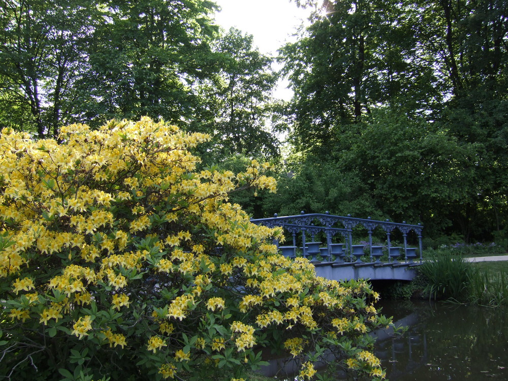 Über diese Brücke mußt du gehn