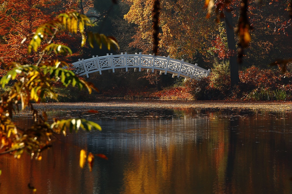 Über diese Brücke wollt ich gehn...