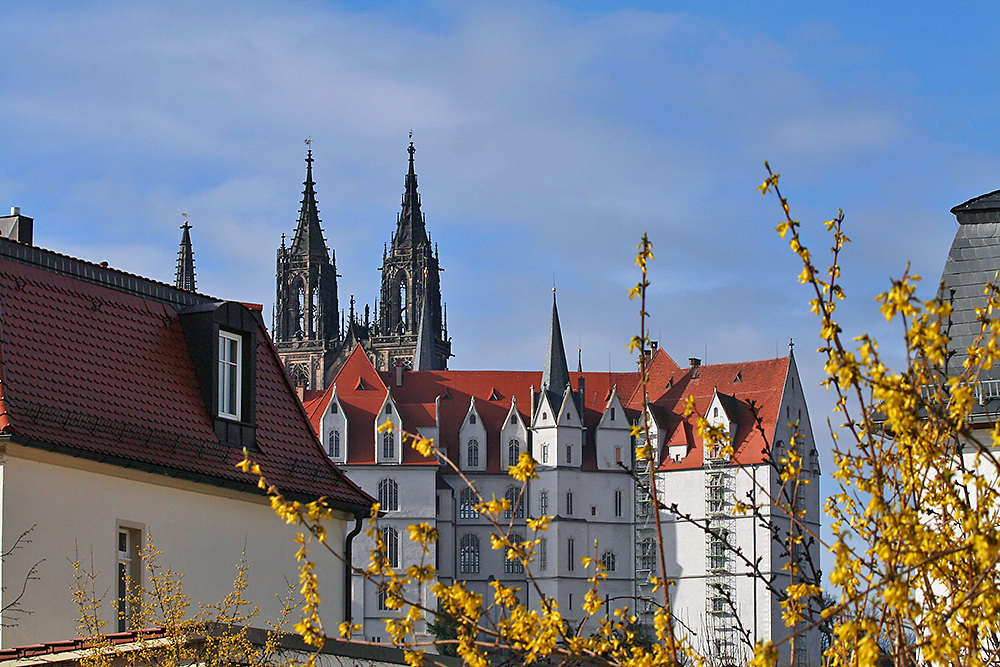 über eine Meißner Mauer zum Dom geschaut