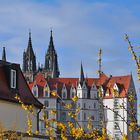 über eine Meißner Mauer zum Dom geschaut