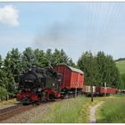 Über einen Bahnübergang bei Neudorf im Sehmatal