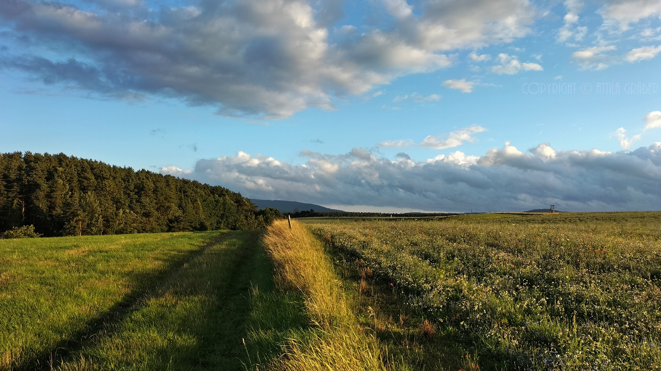 über Feld und Flur