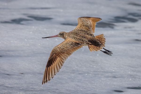 Über Glitzer und Glitzer…