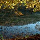 über goldenen Teich, noch einmal