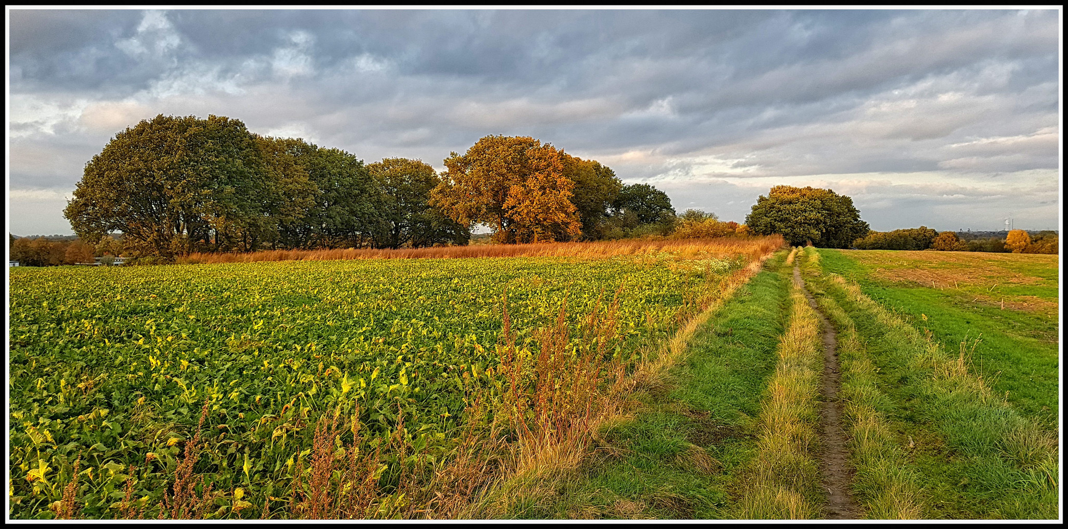 Über herbstliche Felder ...