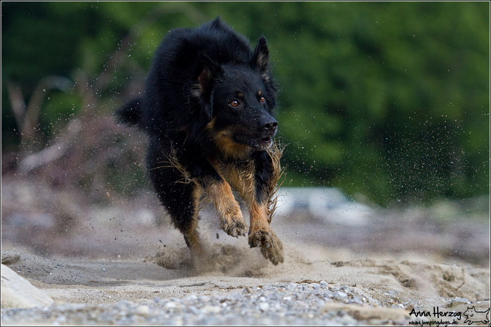 Über Körperhaltungen