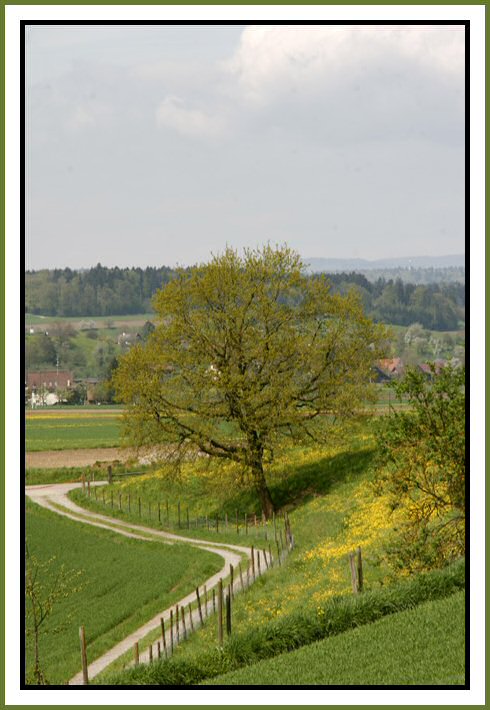 über Land wandern