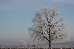 Über Nacht 'verzaubert"