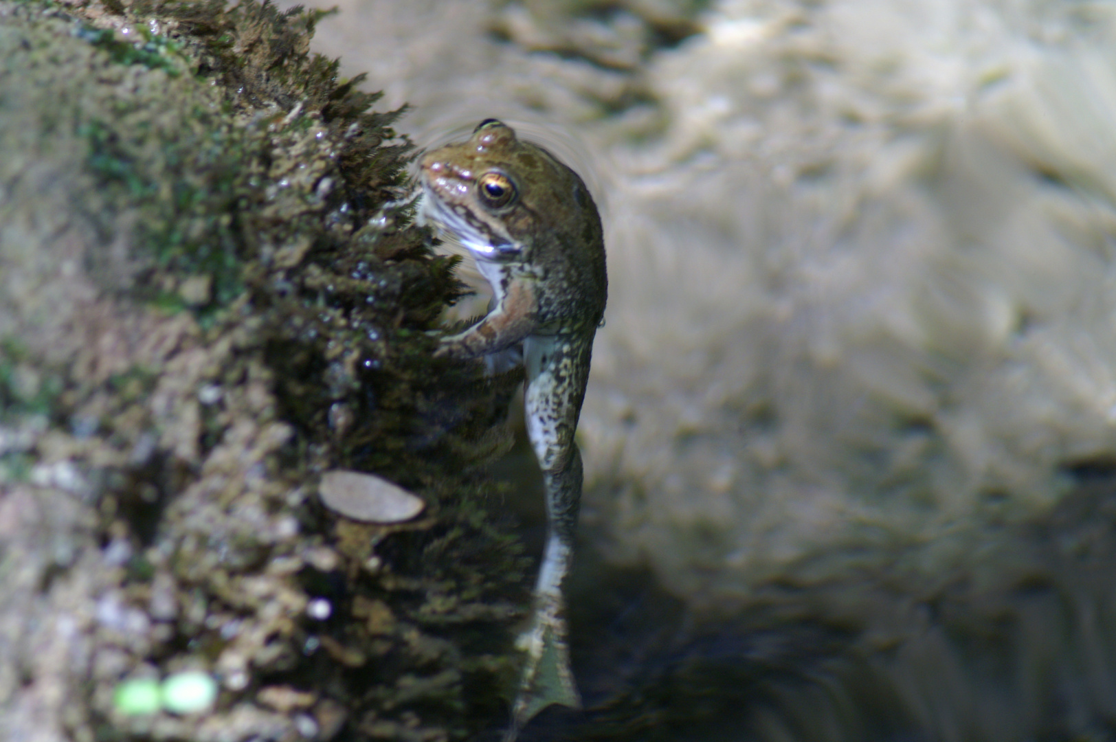 Über- oder Unterwasser