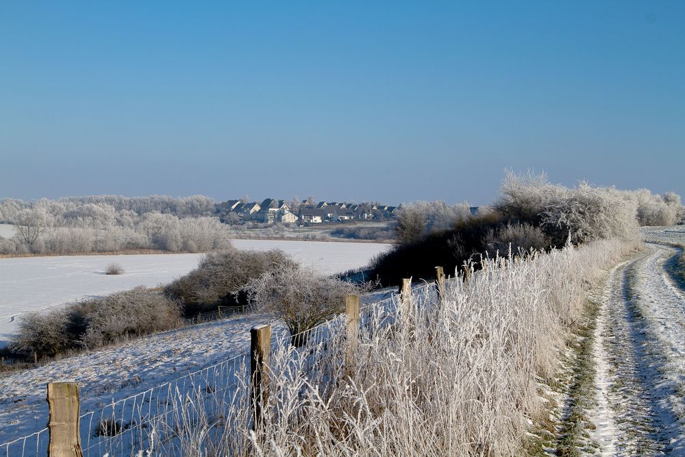 über Schnee bedehehecktes Feld ....