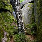 Über Stock und Stein