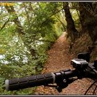 über Stock und Stein dem Fluss nach... so macht biken Spass !