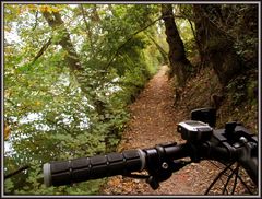 über Stock und Stein dem Fluss nach... so macht biken Spass !