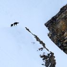 über Stock und Stein und Schnee