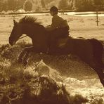 Über Stock und Stein zu reiten...