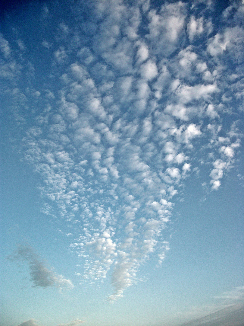 Über uns ein Himmel