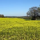 Über Wiesen und Felder