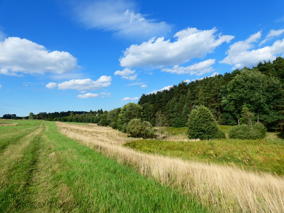 über Wiesen und Wälder