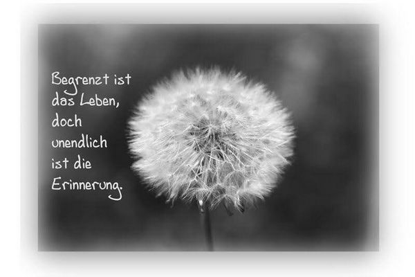 Trost Bilder & Fotos