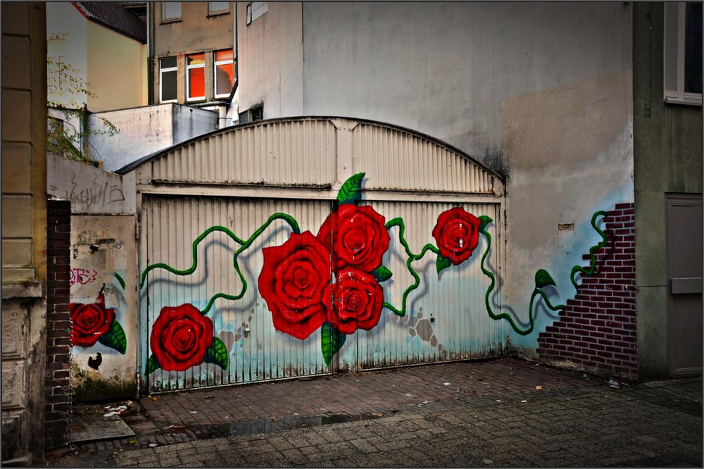 Überall blühen Rosen