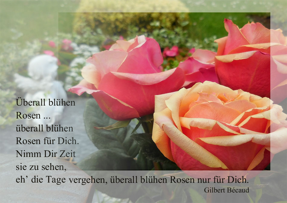 Uberall Bluhen Rosen Nur Fur Dich Foto Bild Trauerkarten