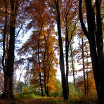 überall ist Herbst