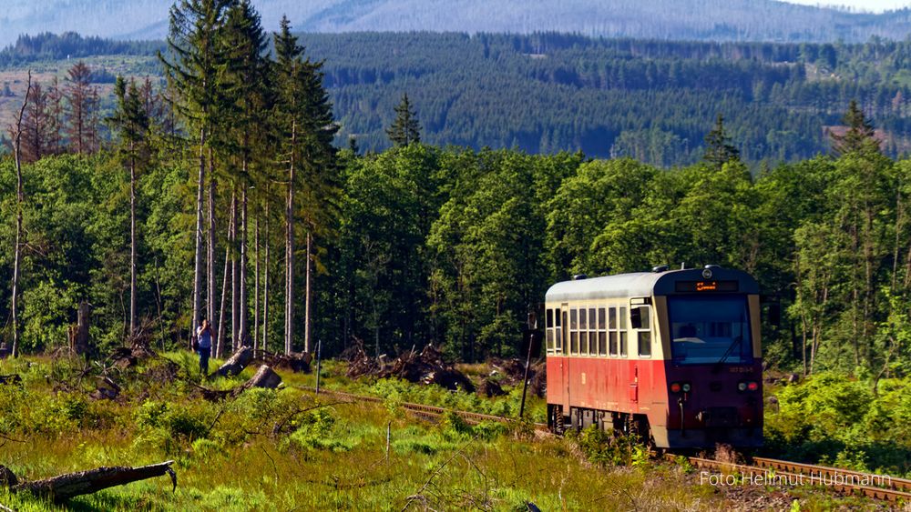 ÜBERALL LAUERN FOTOGRAFEN HSB 15