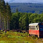 ÜBERALL LAUERN FOTOGRAFEN HSB 15