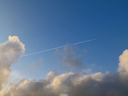 überall lauert eine Verschwörung